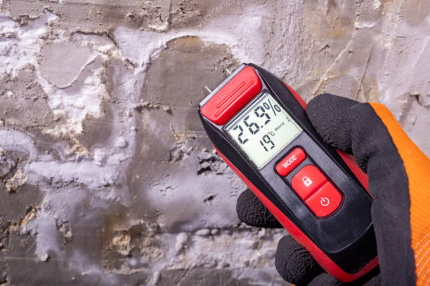 Best Mold Cleaning Services  in Ponca City, OK