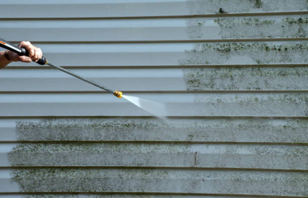 Best Office Mold Removal Services  in Ponca City, OK