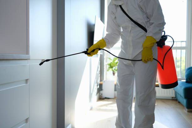 Best Residential Mold Removal  in Ponca City, OK