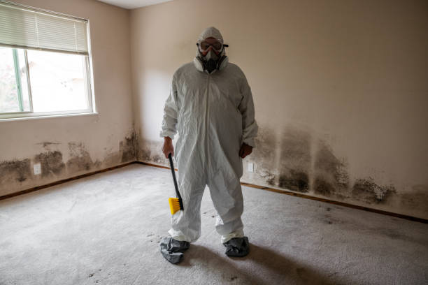 Ponca City, OK Mold Removal Company
